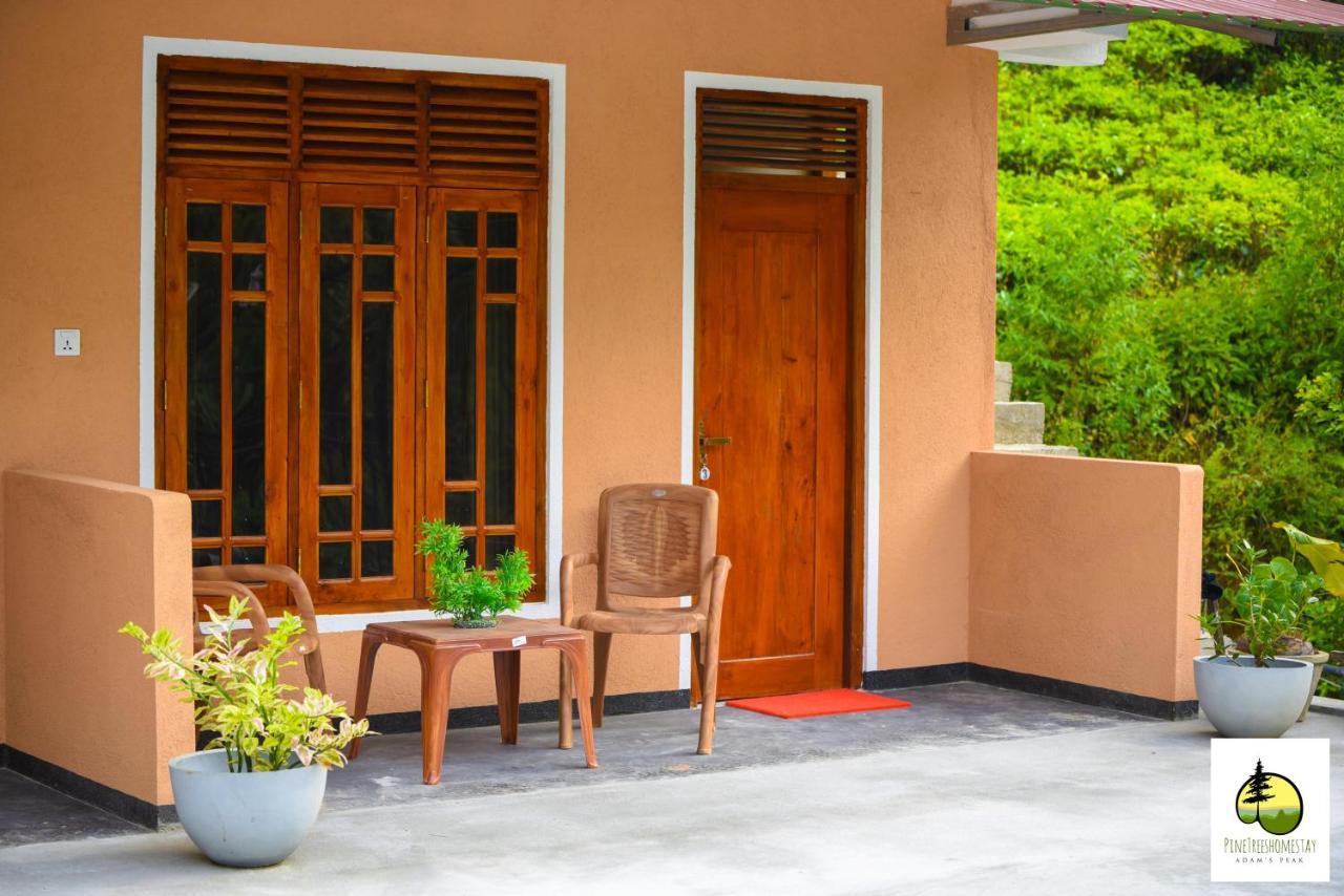 Pine Trees Homestay Nallathanniya Exterior foto