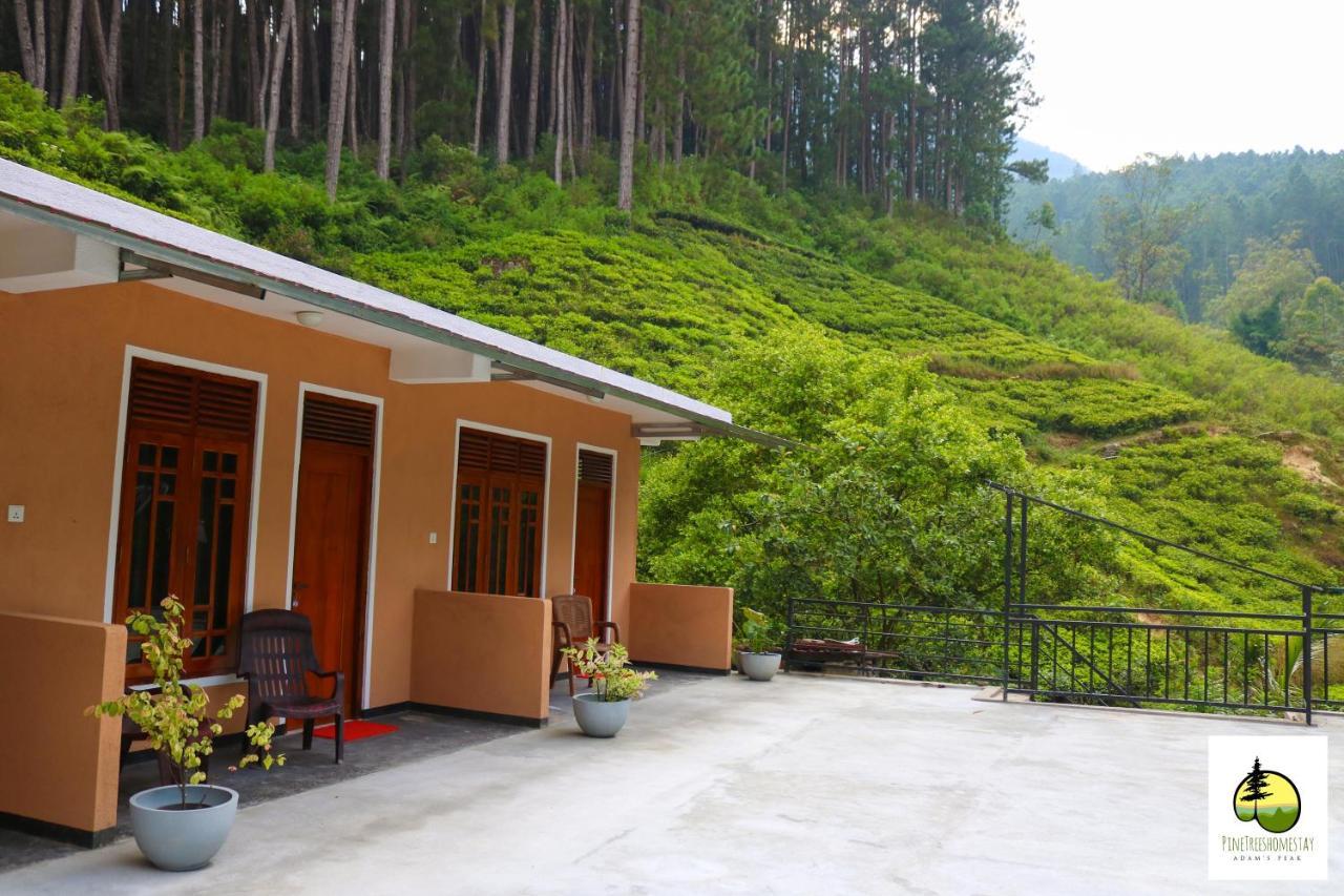 Pine Trees Homestay Nallathanniya Exterior foto