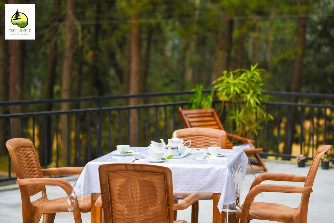 Pine Trees Homestay Nallathanniya Exterior foto
