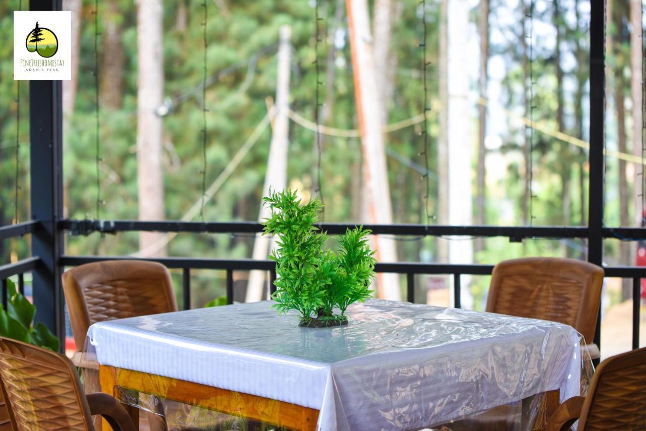 Pine Trees Homestay Nallathanniya Exterior foto
