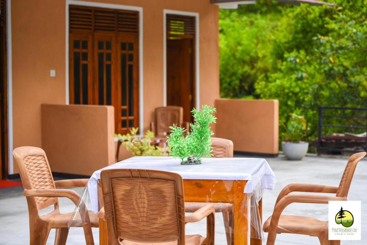 Pine Trees Homestay Nallathanniya Exterior foto