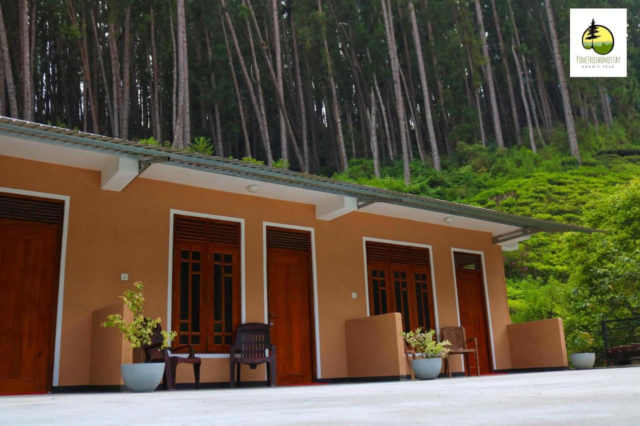 Pine Trees Homestay Nallathanniya Exterior foto