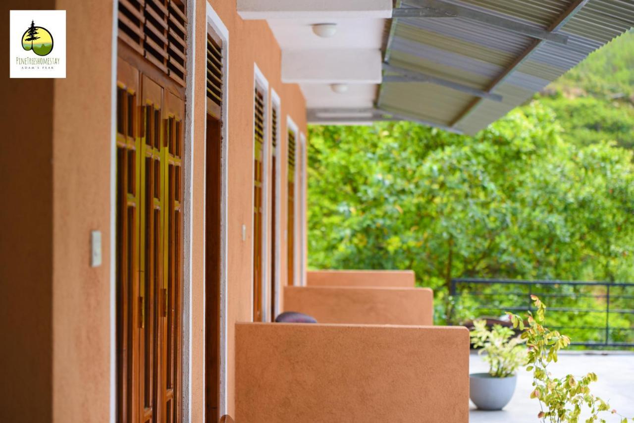 Pine Trees Homestay Nallathanniya Exterior foto