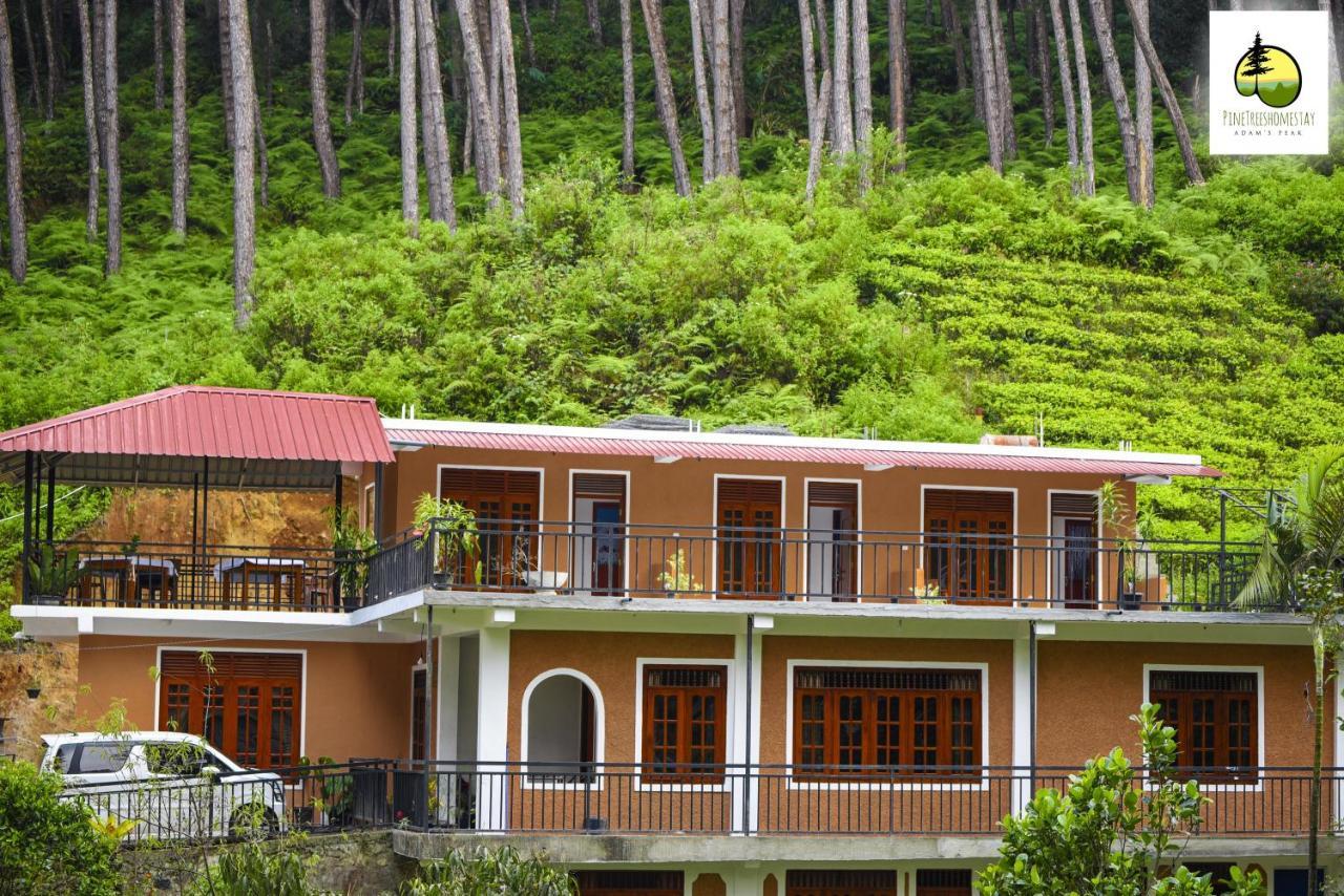 Pine Trees Homestay Nallathanniya Exterior foto